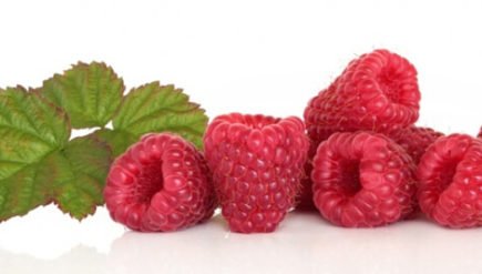 Raspberry Ketone _raspberry-ketones-product-image