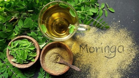Moringa Extract _Moringa-superfood-why-is-moringa-good-for-health_featured Image