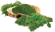 Moringa-Extract-content.image-