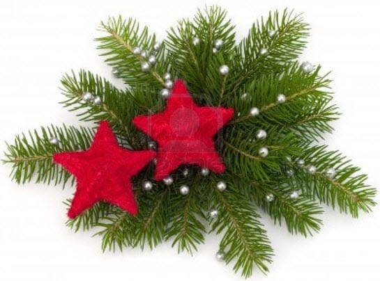 Occasions -Post Holiday Sale Year End Blowout decor