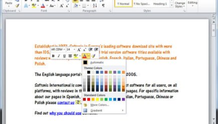 Microsoft Word Courses _microsoft-word-2010-screenshot-header image