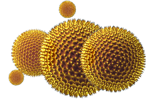 Health and Beauty_Prostate Health -pollen2_UniScienceGroup