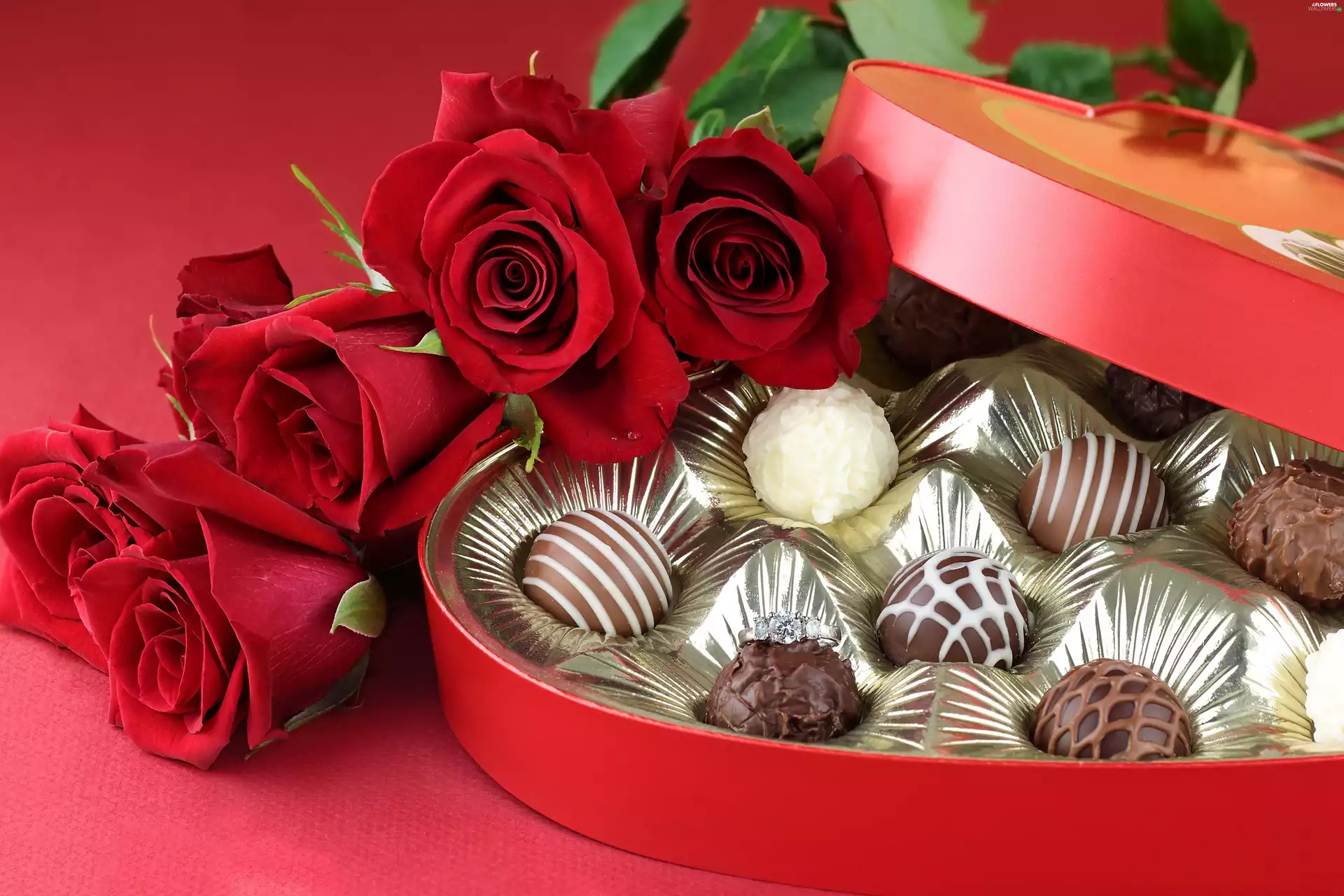 Rich-Chocolate-Delights-Featured.Image-bing-free-stock-images-of-chocolate-roses-package-chocolates