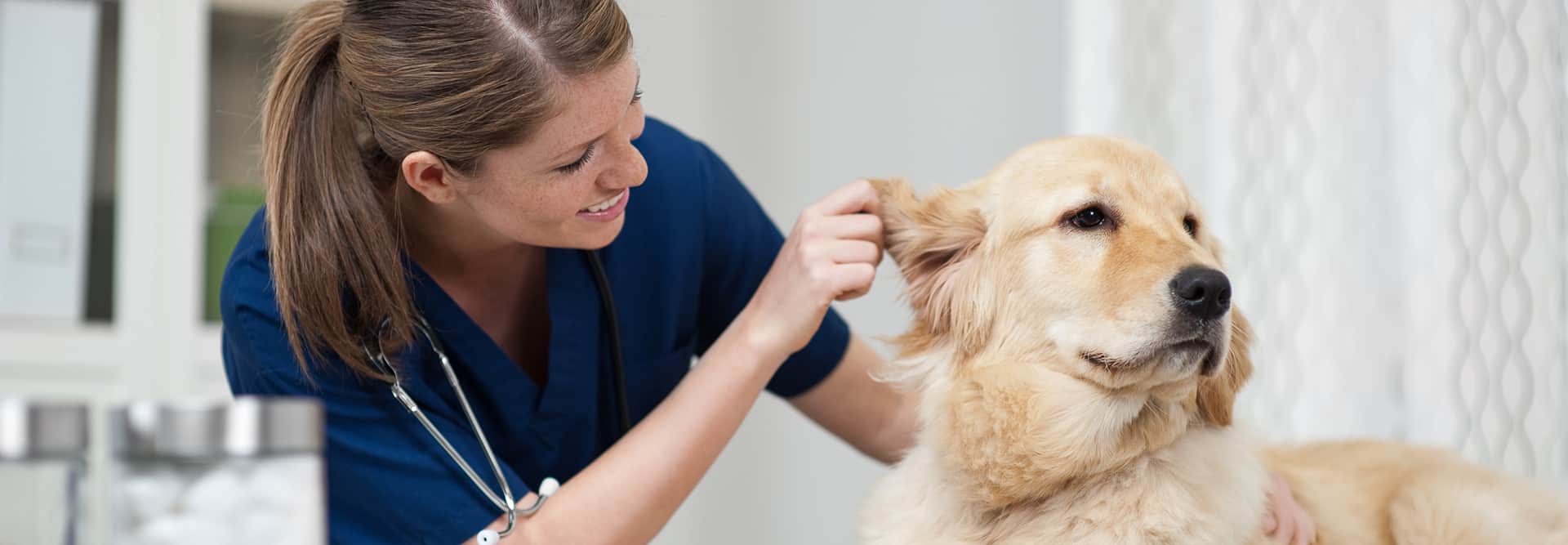 Veterinary-Assistant-Featured.Image