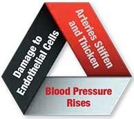 Blood Pressure Problems_vicious-cycle