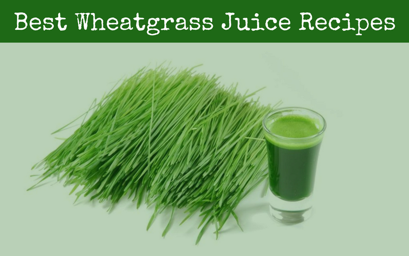 Wheatgrass Growing Kits _headerImage