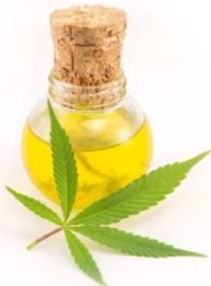 Cannabis _CBD _oil_what-is-cbd