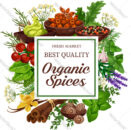 Secrets-of-Organic-Spices-Top.-Content.Image